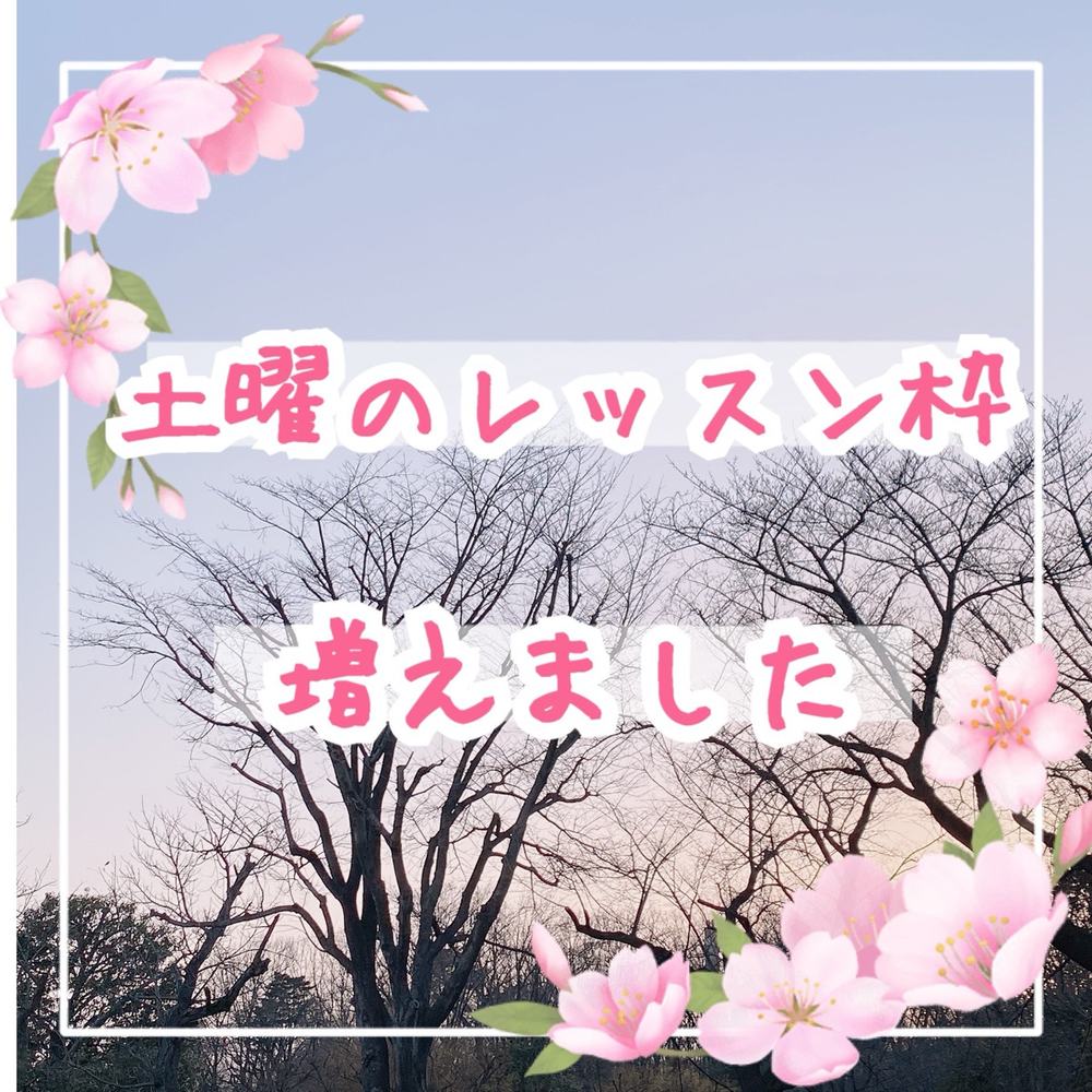 「4月より土曜のレッスン枠増えます🌸」の写真 1