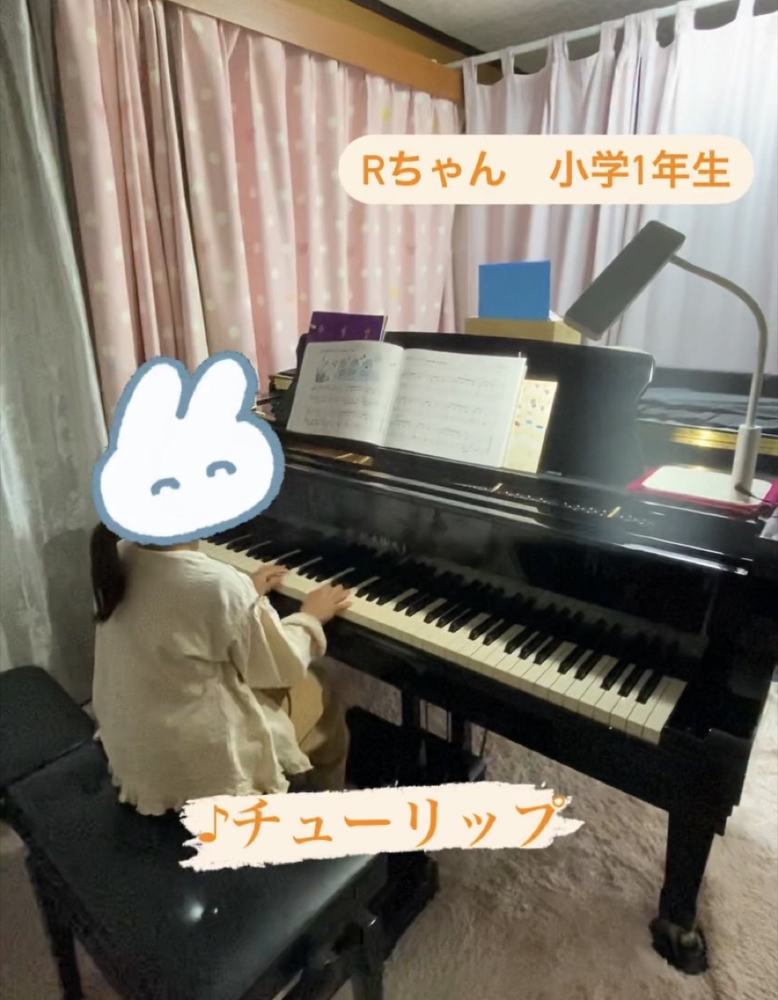 「チューリップ🌷動画あり」の写真 1