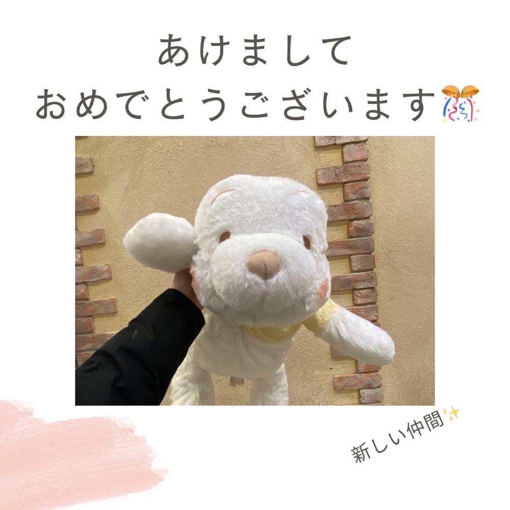 「あけましておめでとうございます⛩️」の写真 1